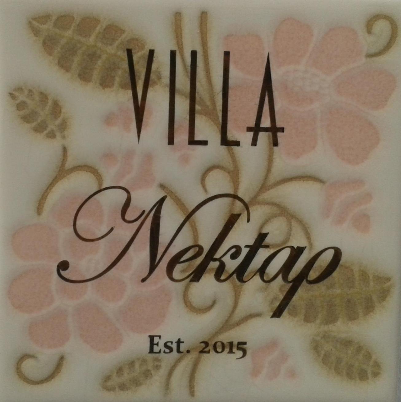 Villa Nektar, Luxury Apartment In Chora Naxos Naxos City 外观 照片